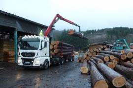 Holztransporter beim Abladen von Rundholz
