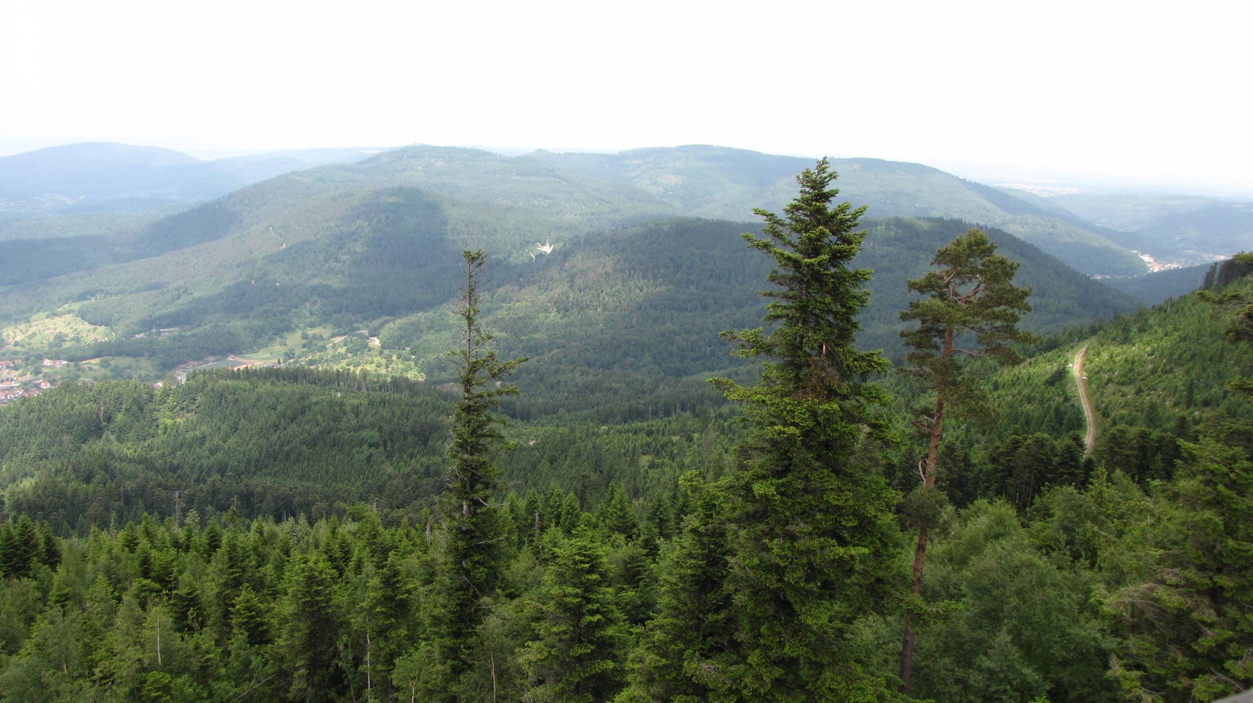 Bewaldete Hügel im Frankenwald